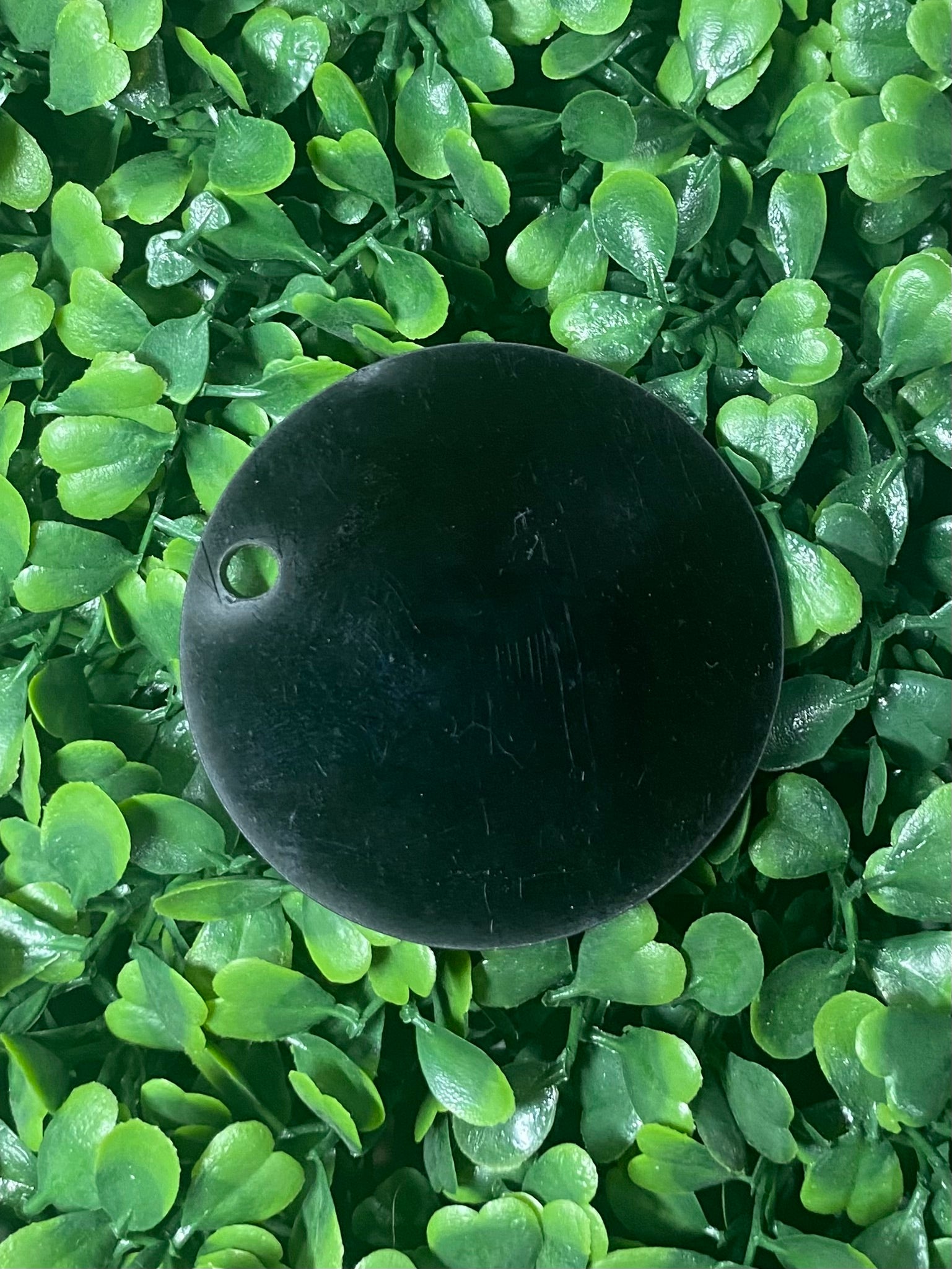 Tropical Vinyl 